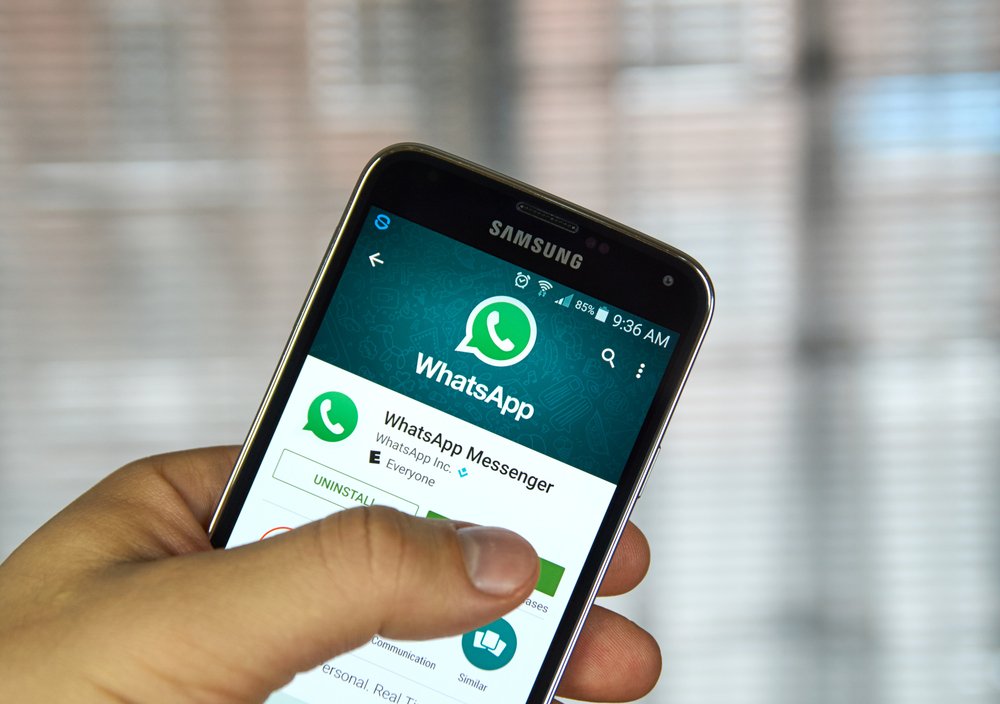 whatsapp app web whatsapp app web
